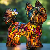 Terrier Yorkshire Radioso